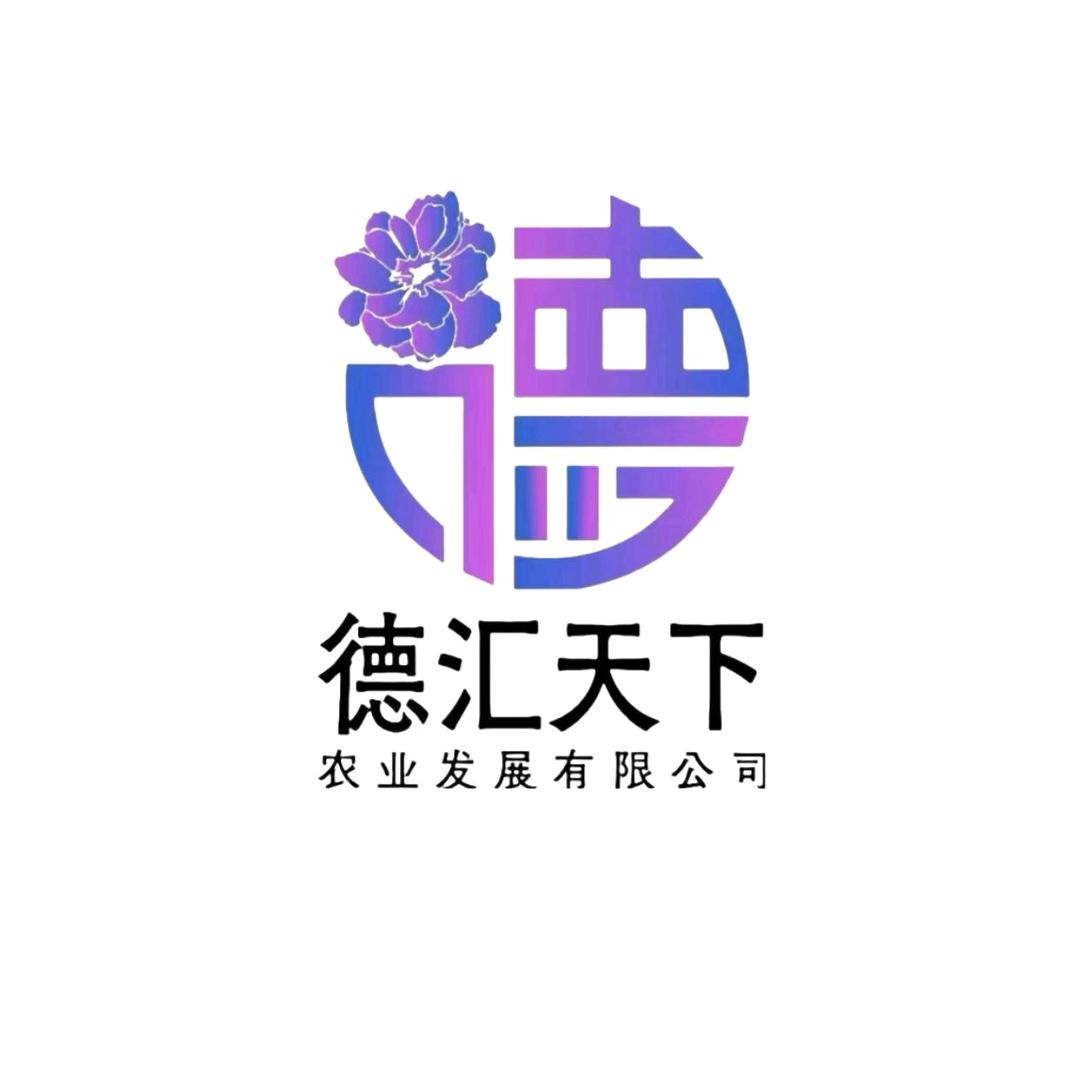 德汇天下张老师