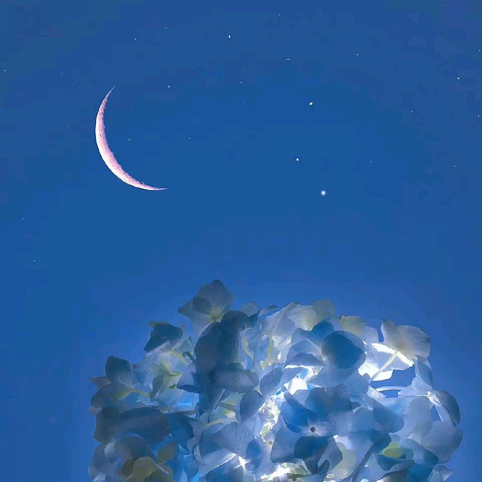 me（第三视角观望者）