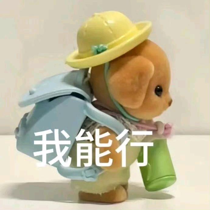 并肩于雪山之巅