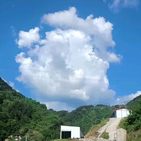 柴油电喷  铲车维修