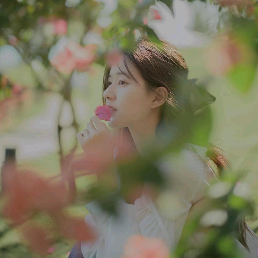 ℛℴ𝓈𝓎.悸念露🍀