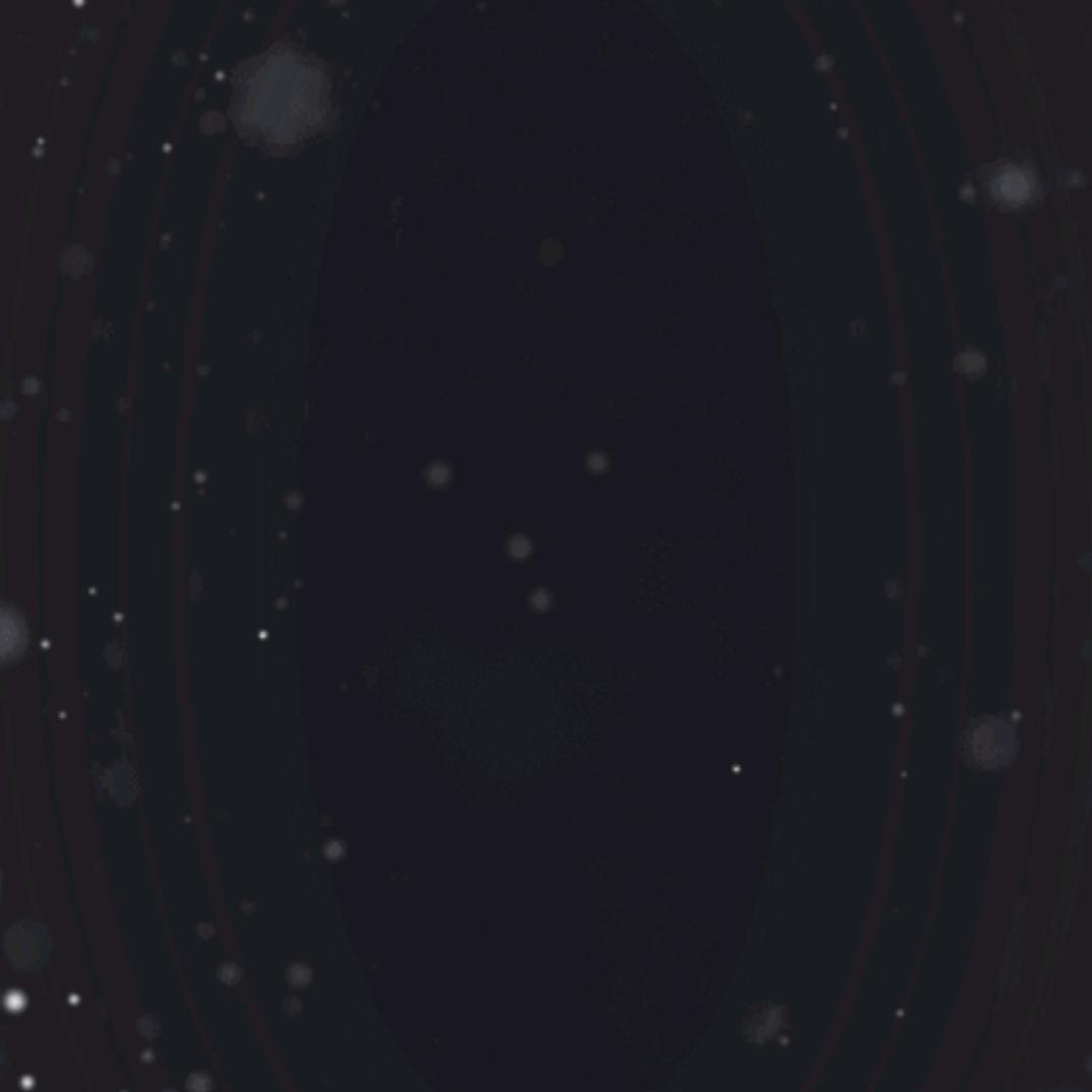 余姐