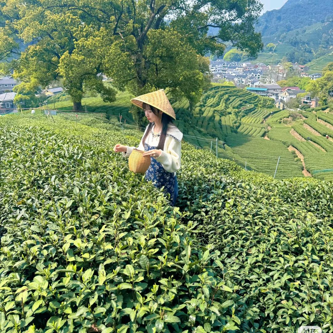 徐徐好物优选