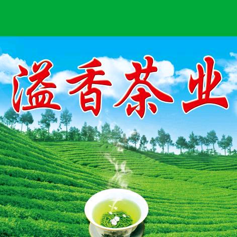 介休市溢香茶叶口杯批发