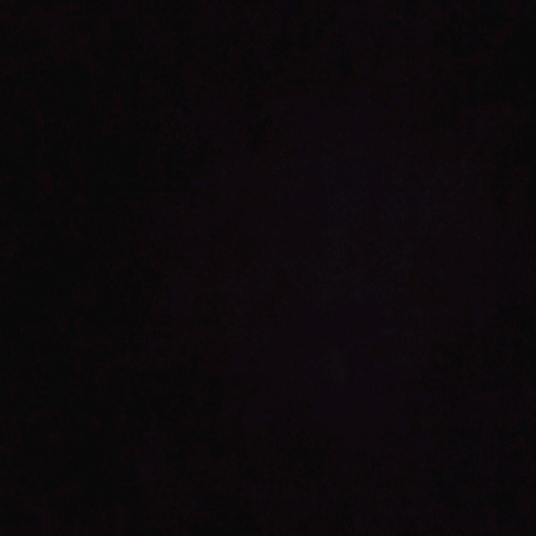 智不力