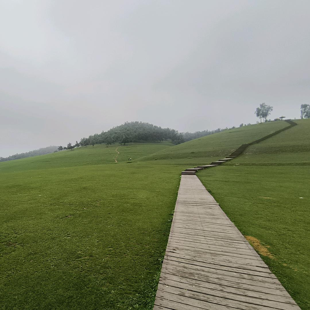 知足不辱，知止不殆！