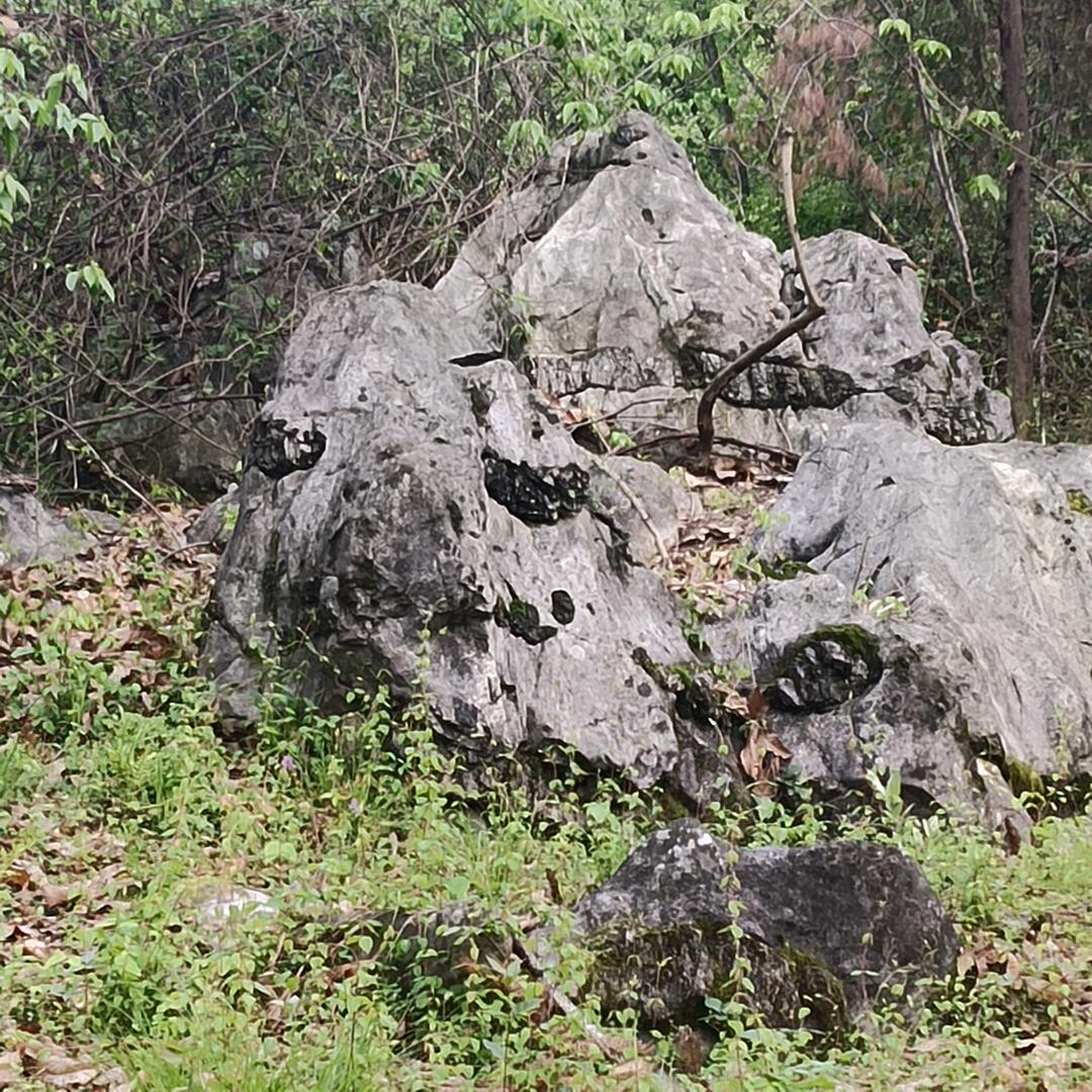 杨眉吐气