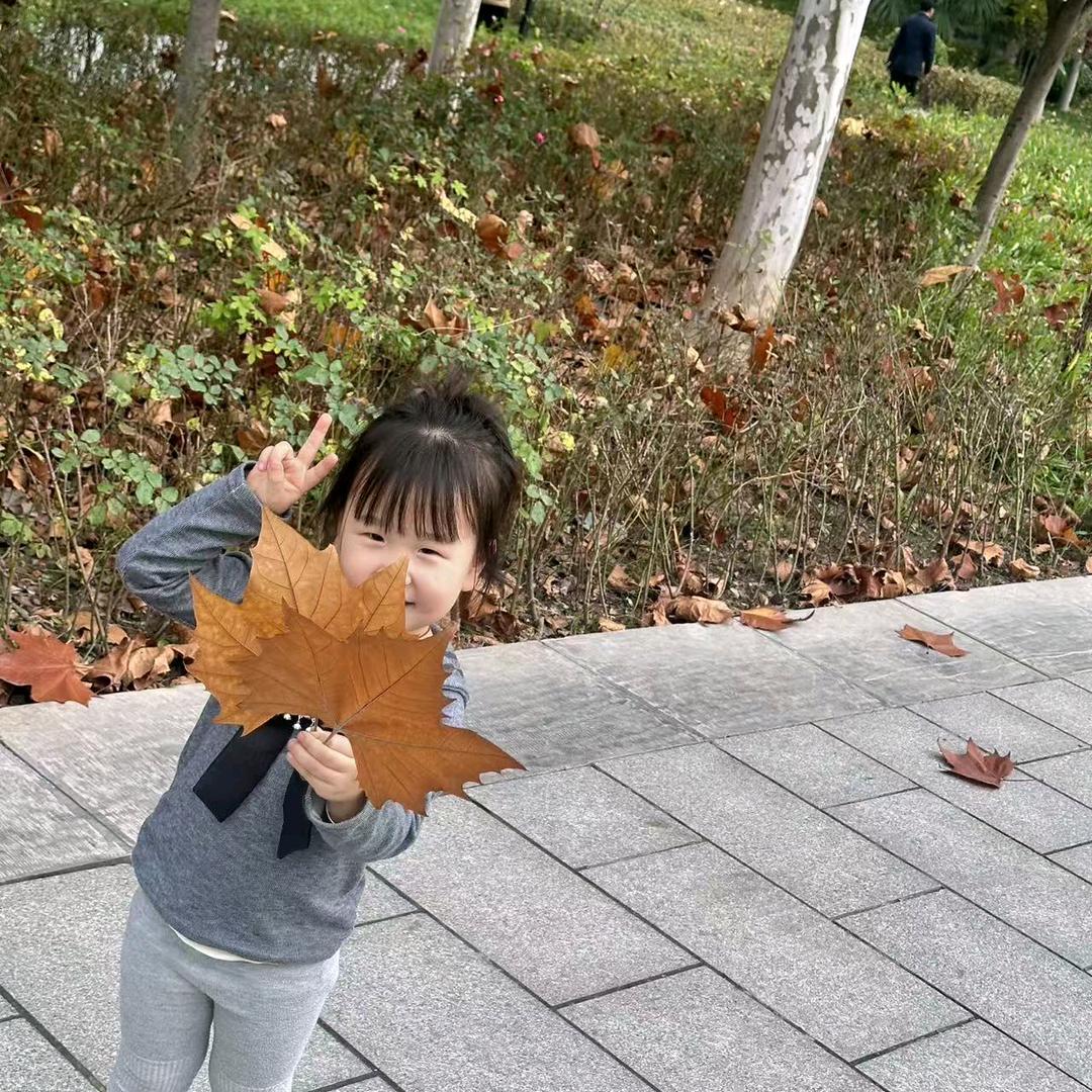 闪耀星辰我独尊