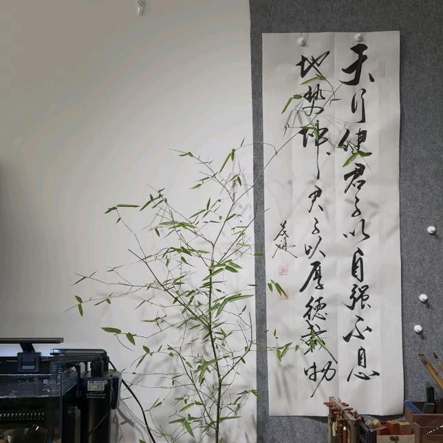 小雪姐姐