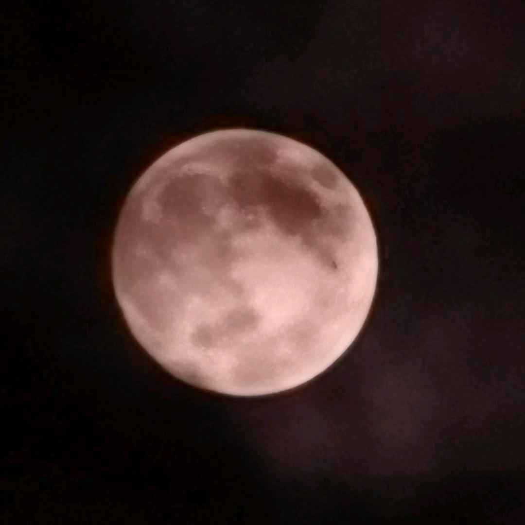 蠡县摩可多~亮亮