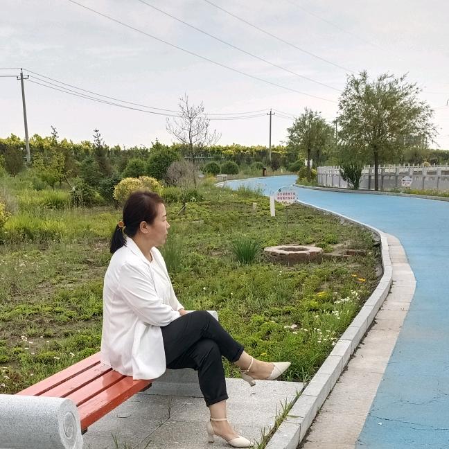 博杨奶奶