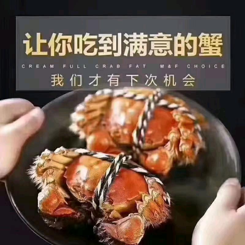 阳澄湖本地大闸蟹