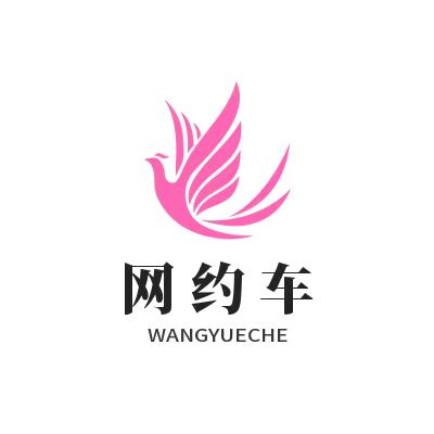 上海网约车大凤