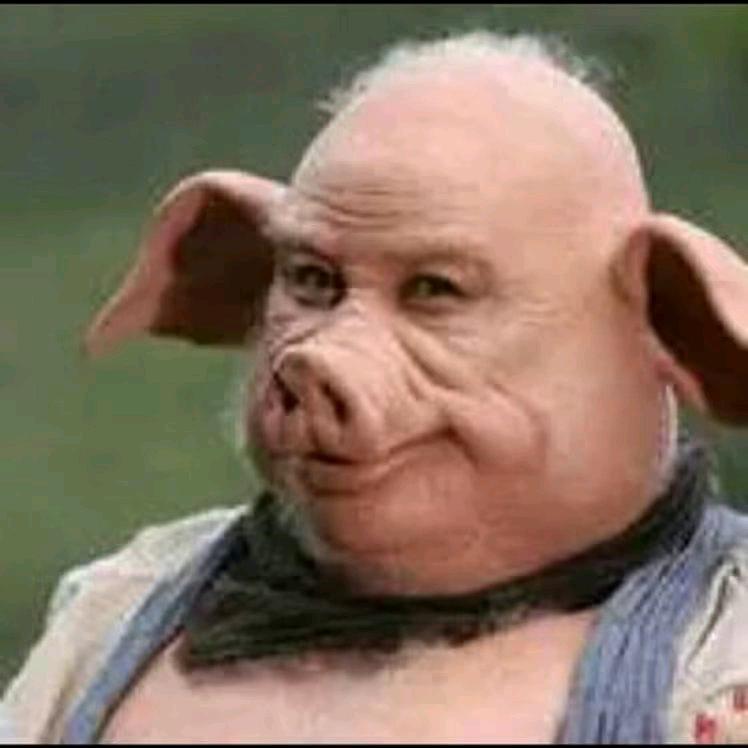 潮汕刺绣供应链(🌍一站式)