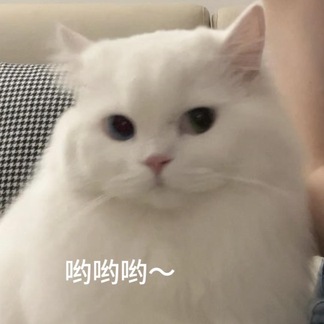 池亦