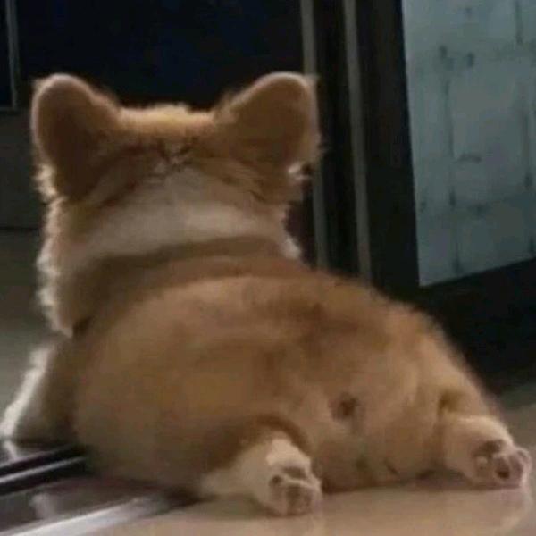 橘子.