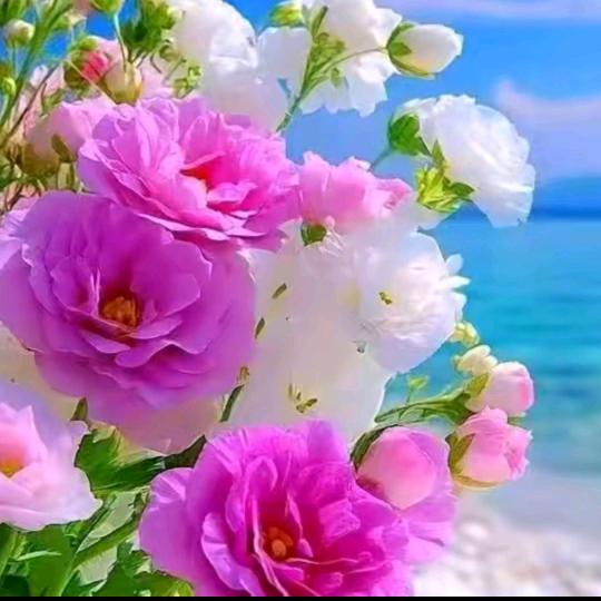 💐'🌲🍀桔🎉🌹🎉桃🎊