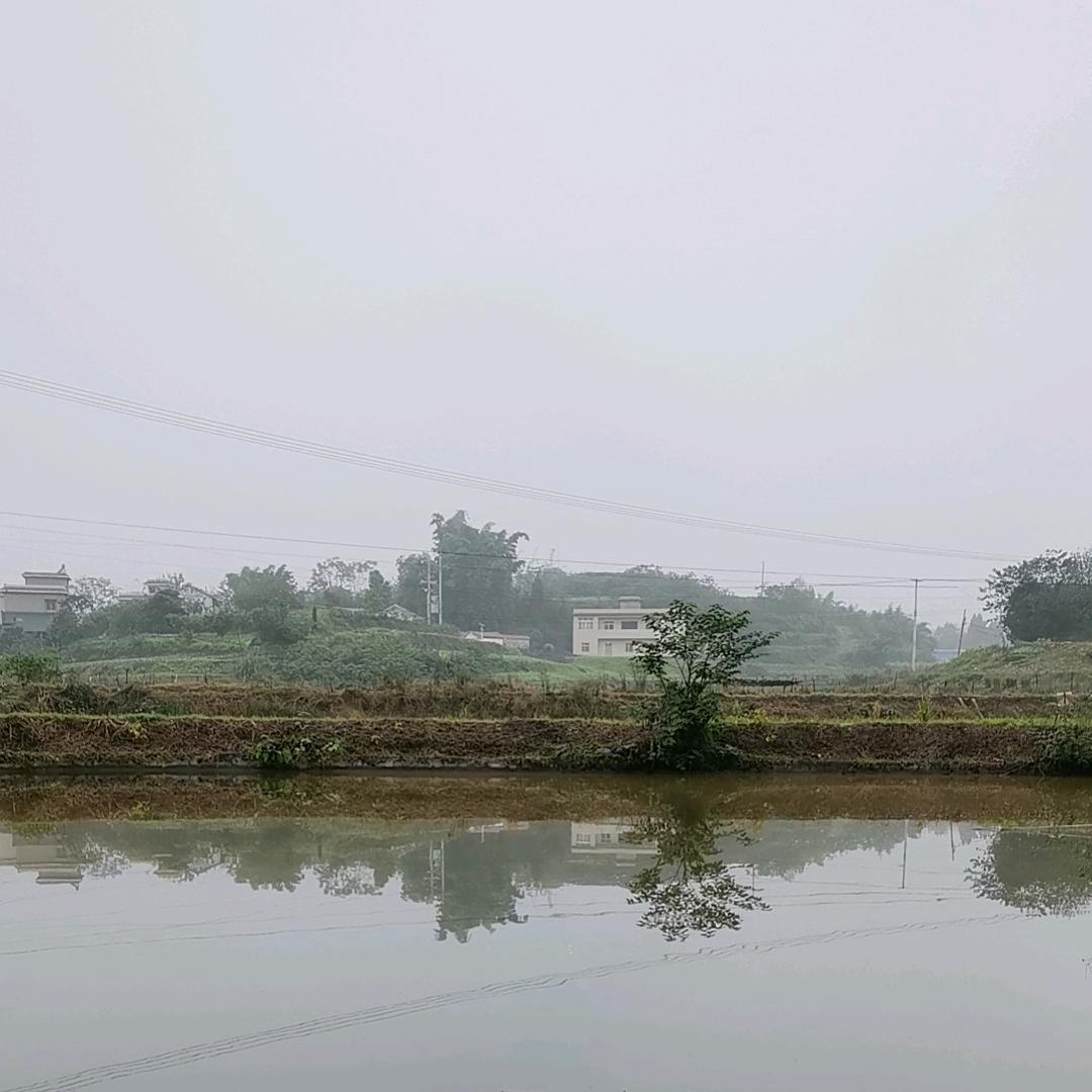 买菜大叔