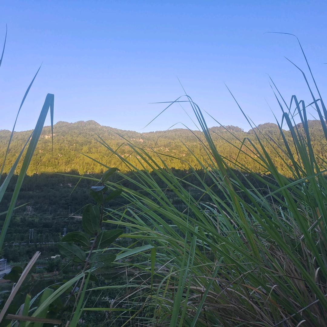 🌈｡♥初心Ray♥｡