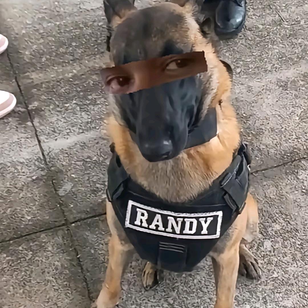 西伯利亚台风吹风飞母娘