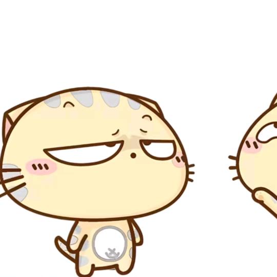 小贝爱吃猫🐱-