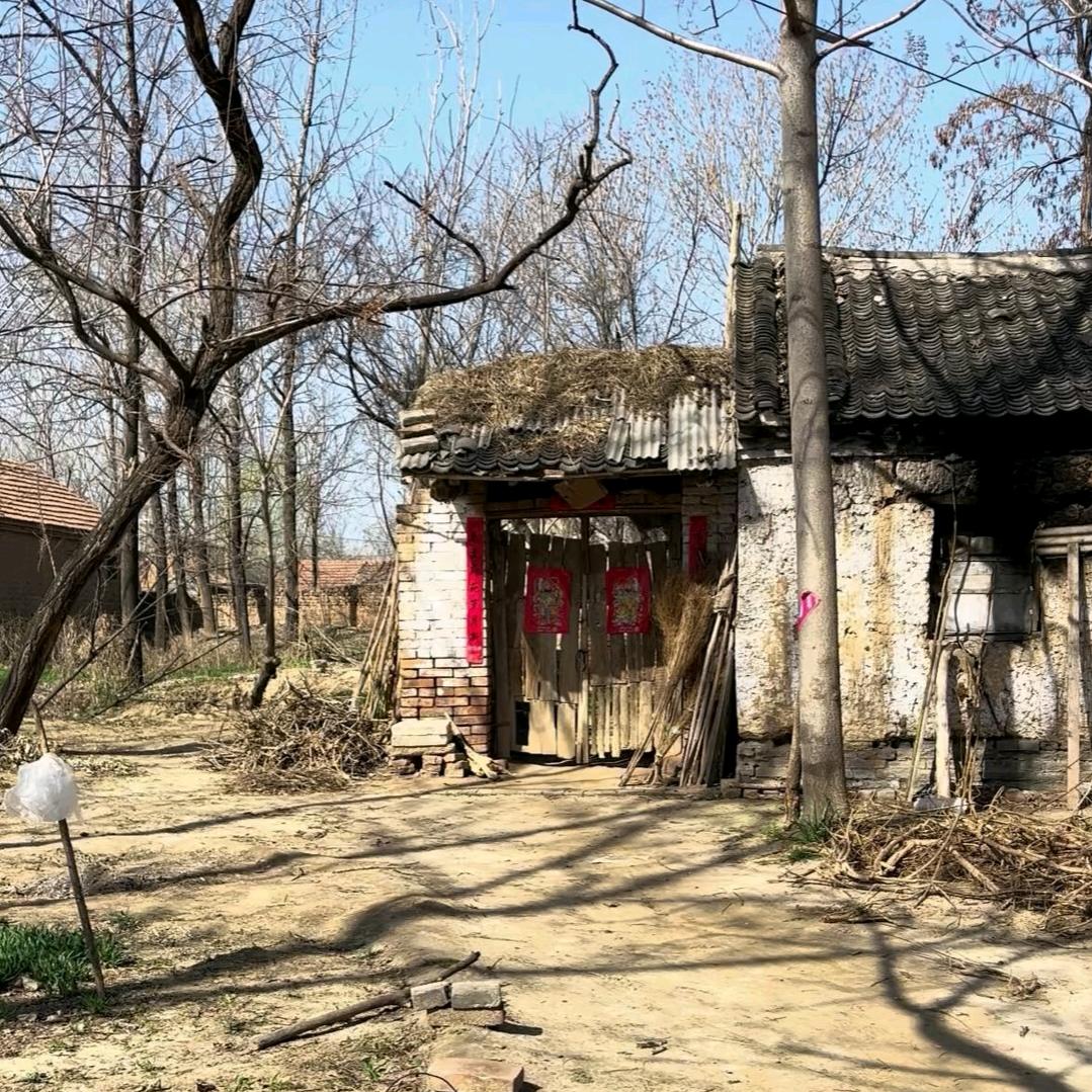 流金岁月《正能量》