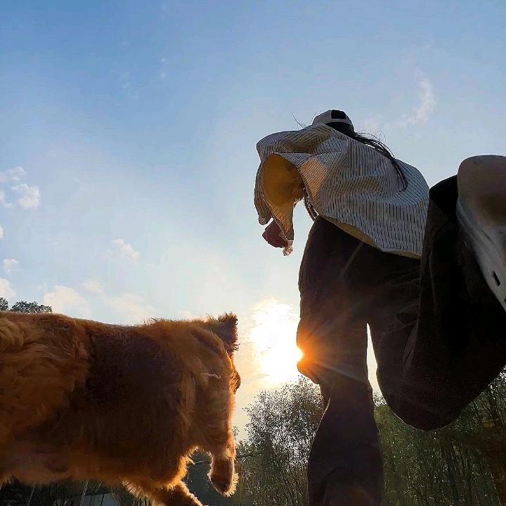 呐（评论禁言解除一半版）