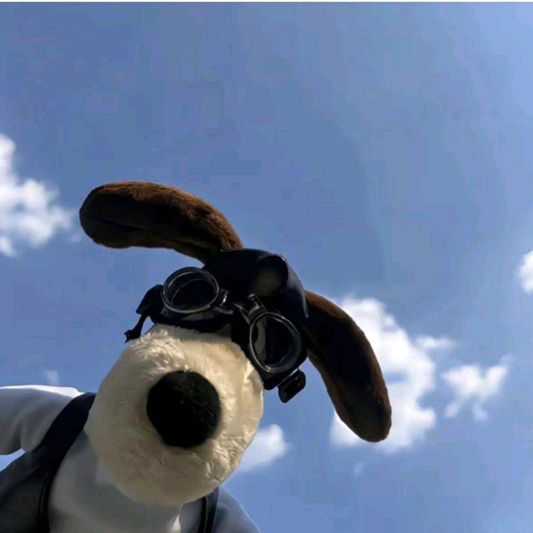 恋爱没有方向感