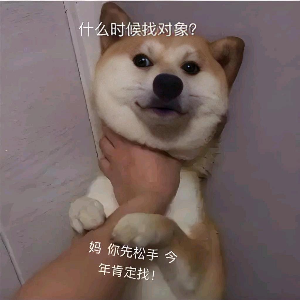 找不到对象被老妈暴揍的狗哥。