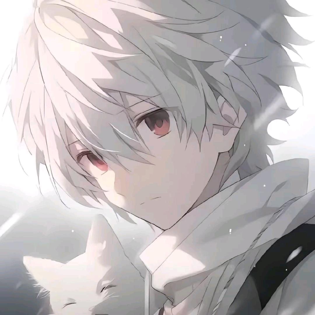 王者荣耀（阿力）