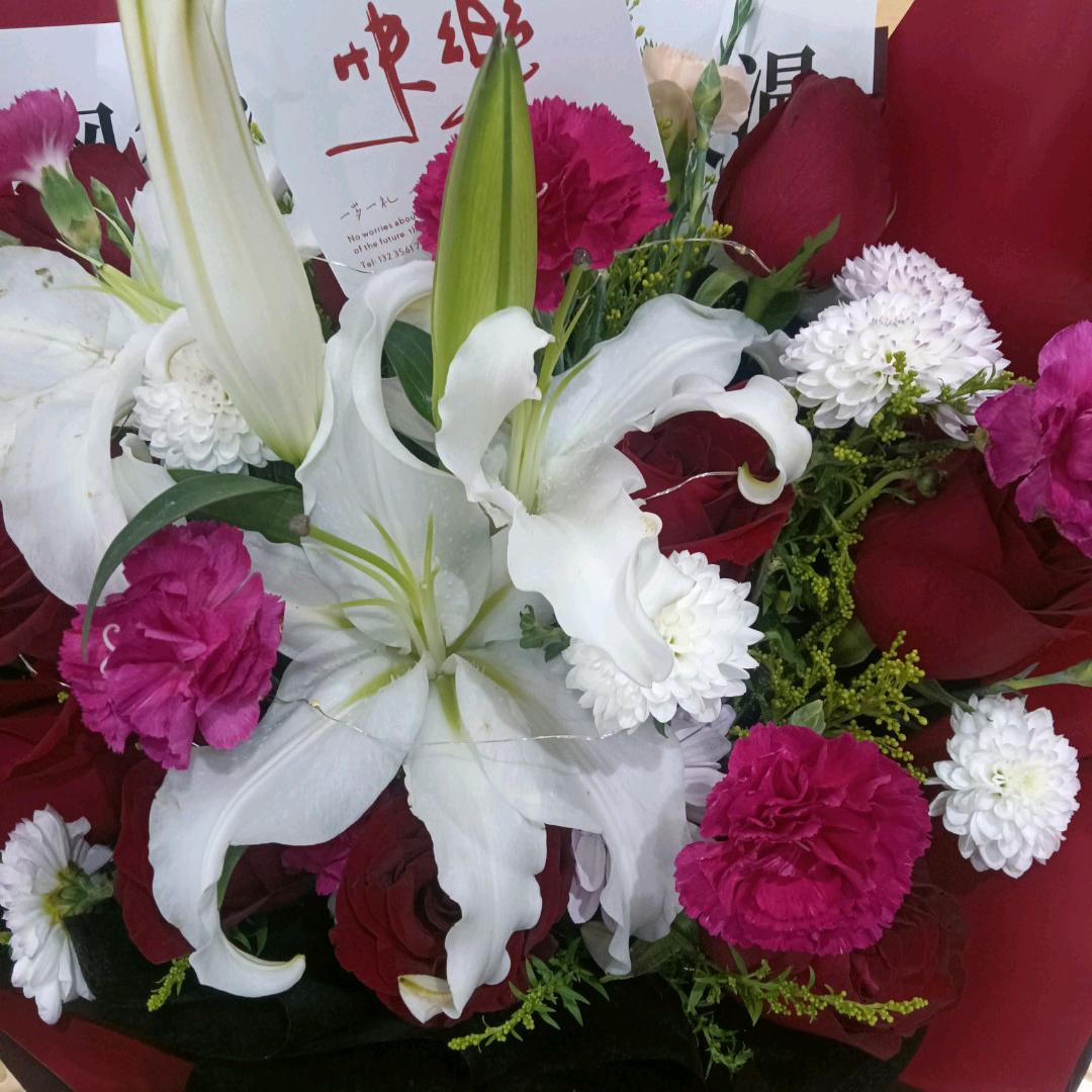 春天的百合