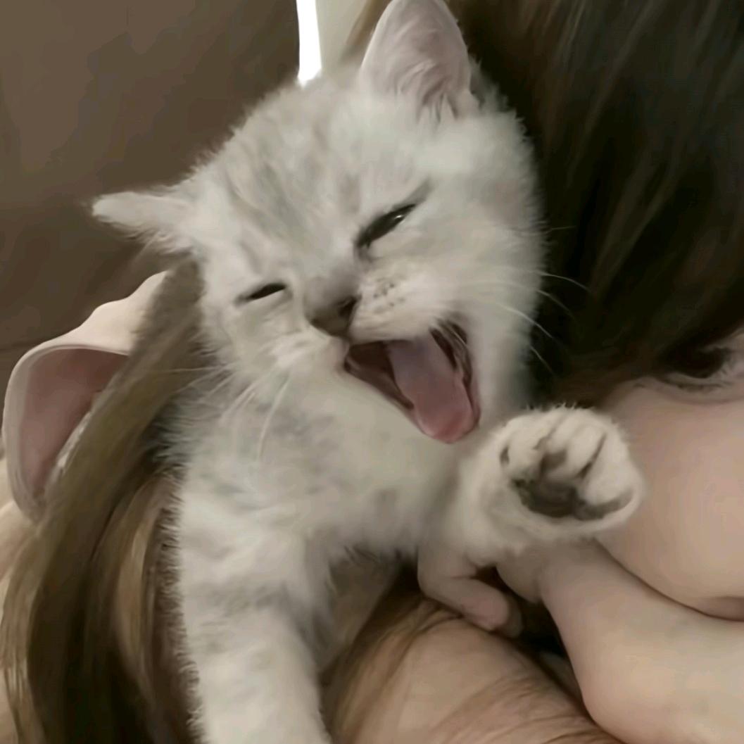 aa头像