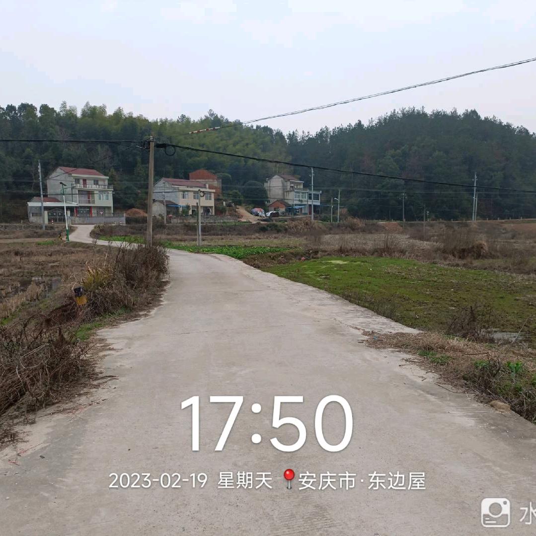 陌语