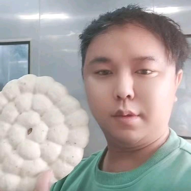沙陇鱼丸弟