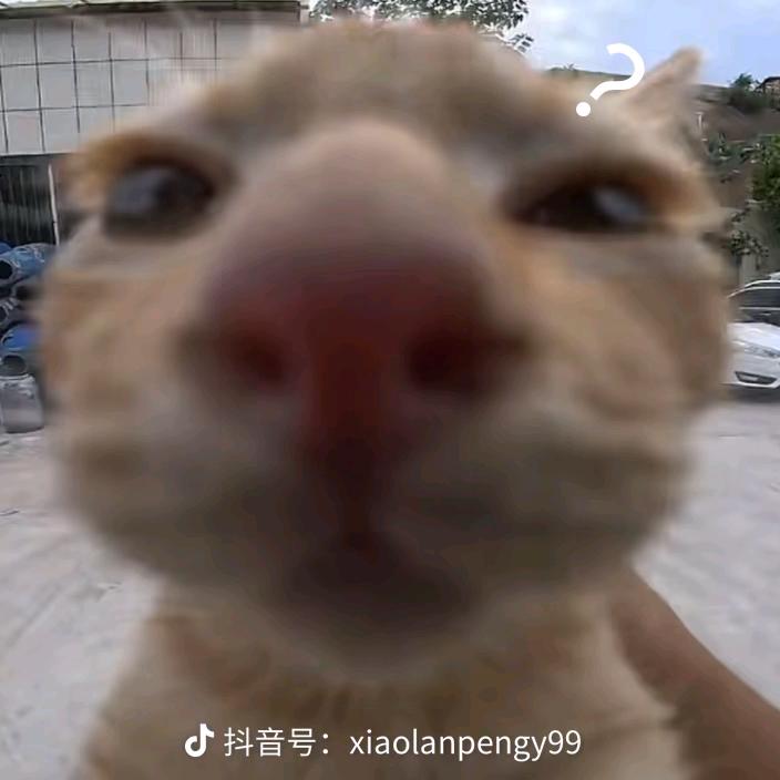 乌几青