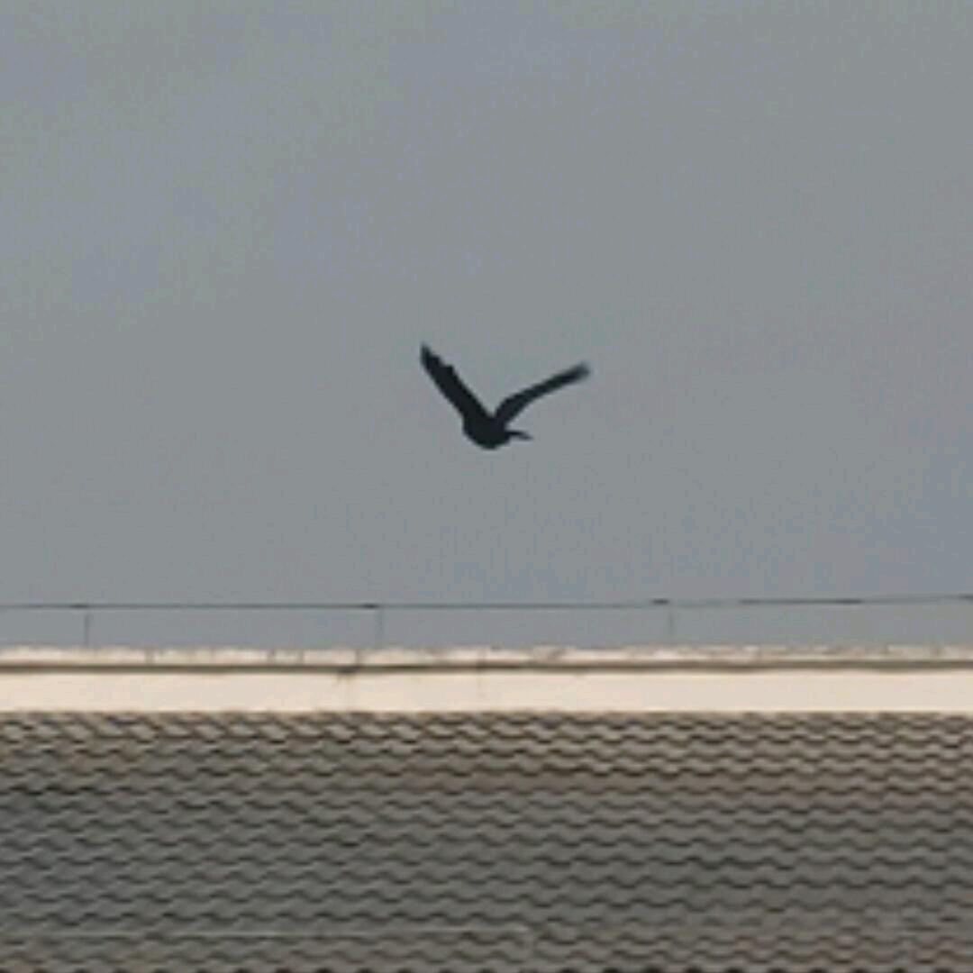 纸上春