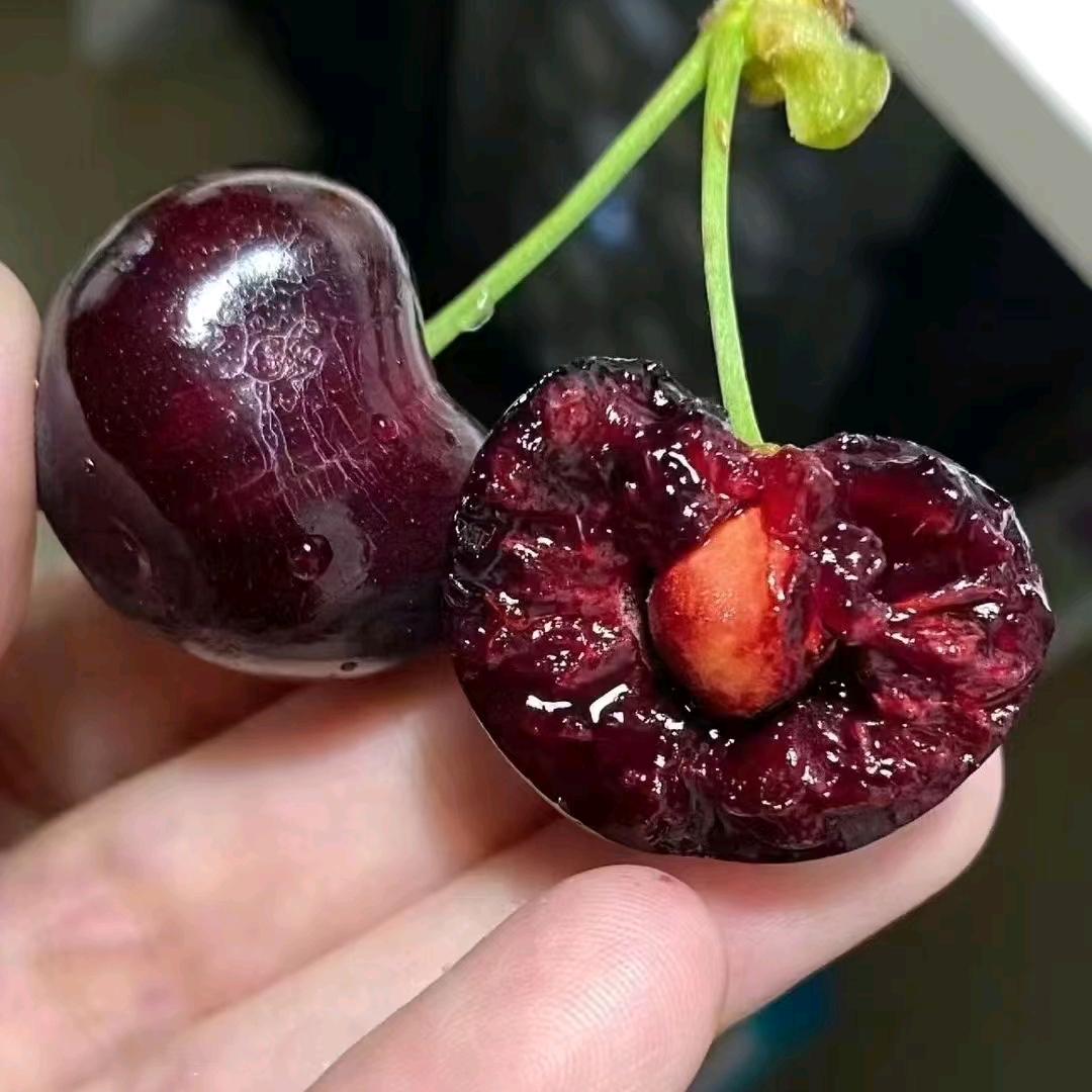 禧遇.禧果
