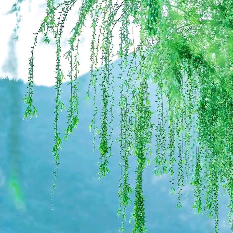 否极泰来