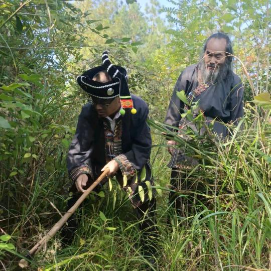 石氏苗翳胂廇解析