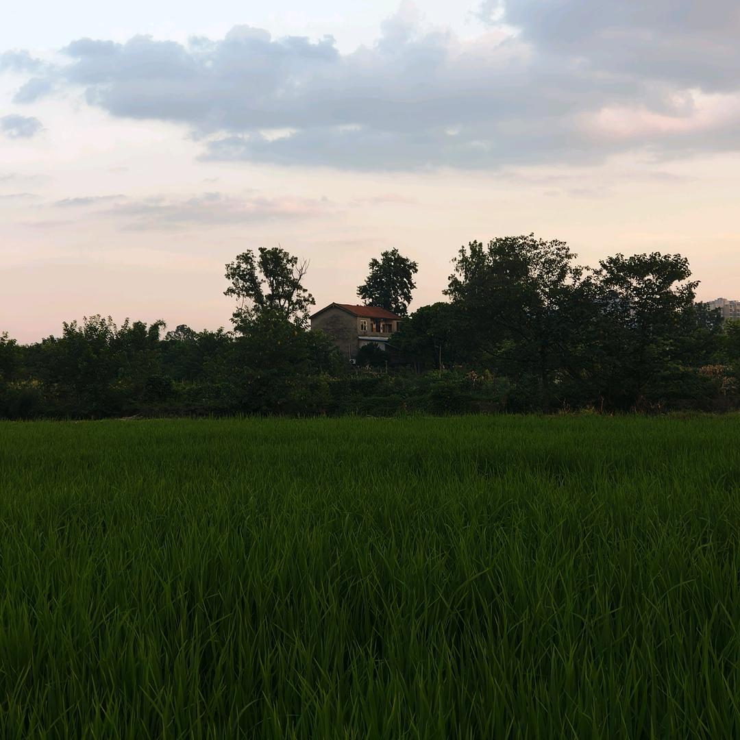 黄同学