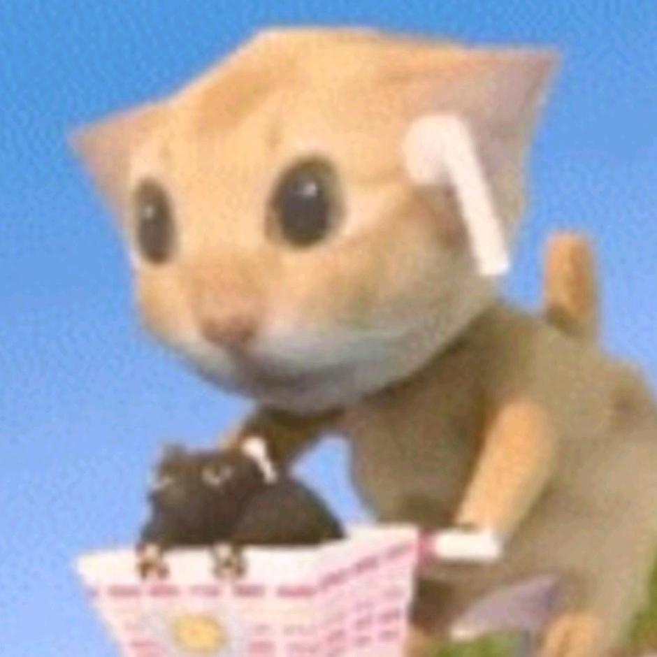 山川聪慧小浣熊