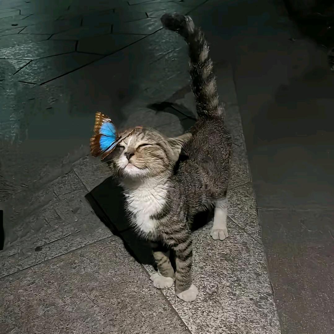 我最爱蛋挞(乱码版)