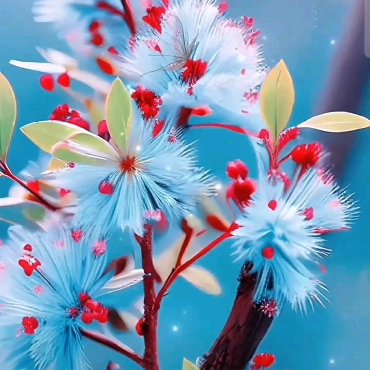 雪梅