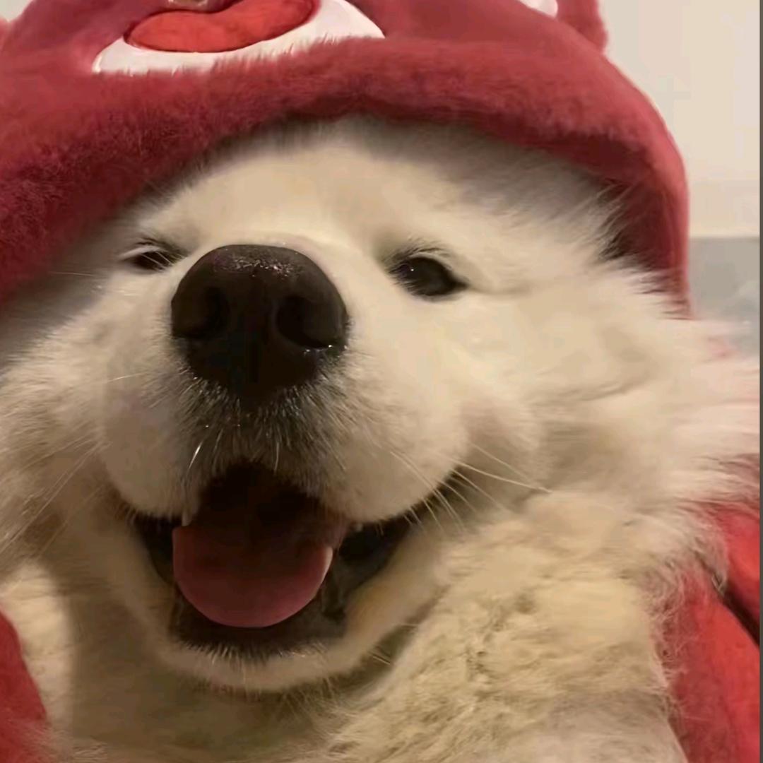 一碗阳春面