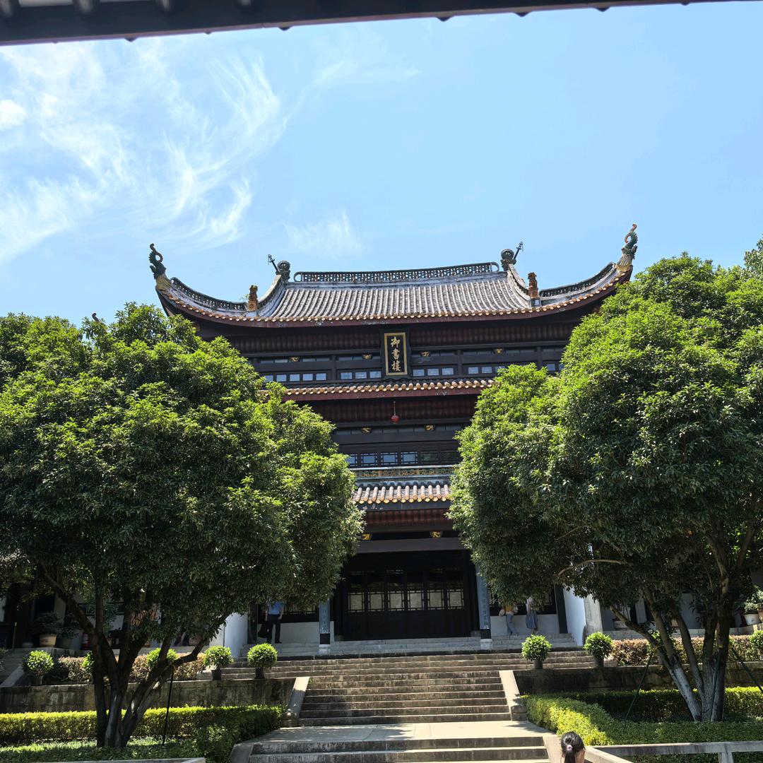 阳光下的温暖