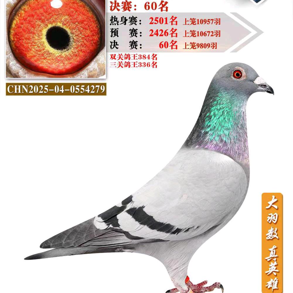 丁占发