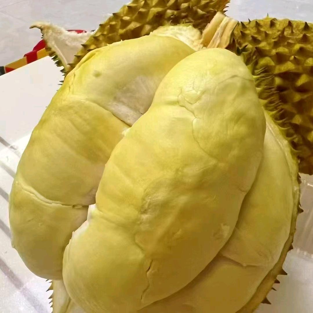 榴莲批发零售