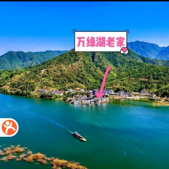 云云万绿湖野生鱼