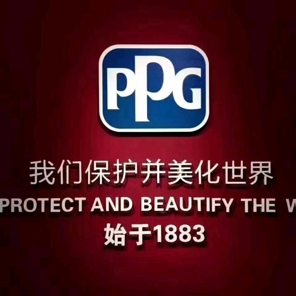 大化 PPG大师漆 内外墙翻新 美巢腻子