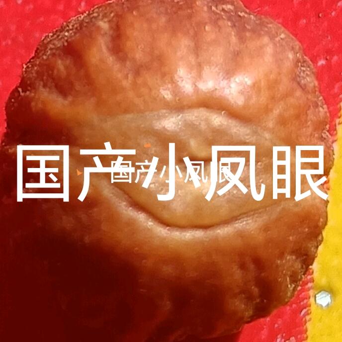 临汾市汾西县映山红酸枣苗育苗基地